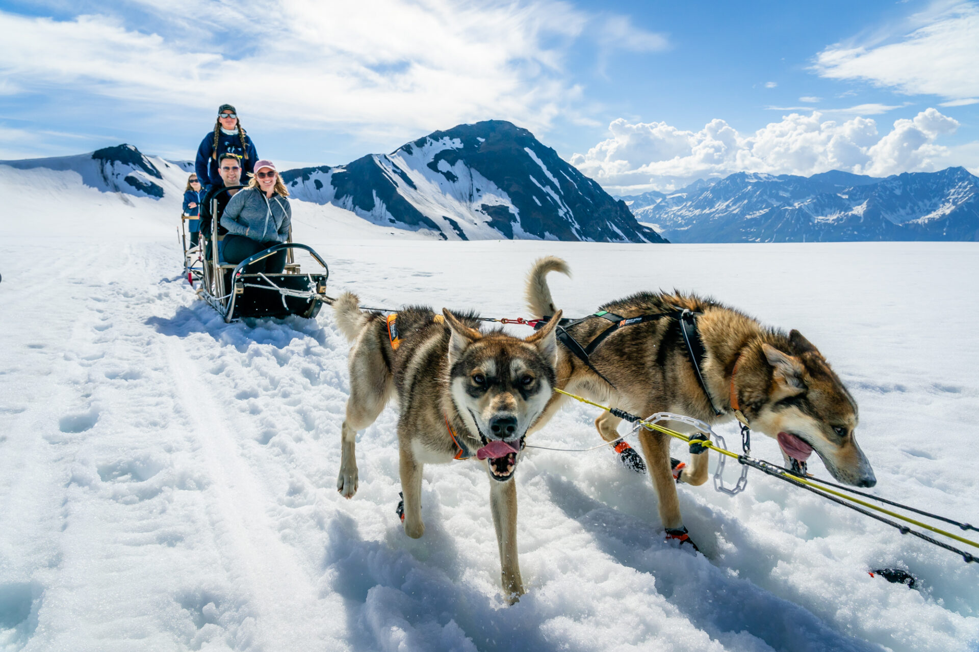 Dog Sledding on Glacier