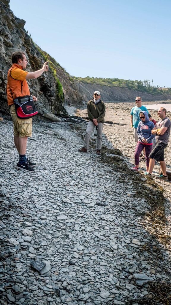 Foraging for fossils