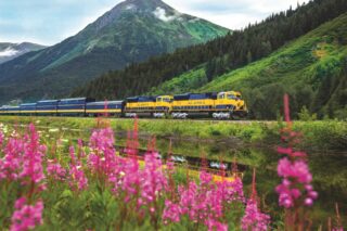 Luxury Train Trips