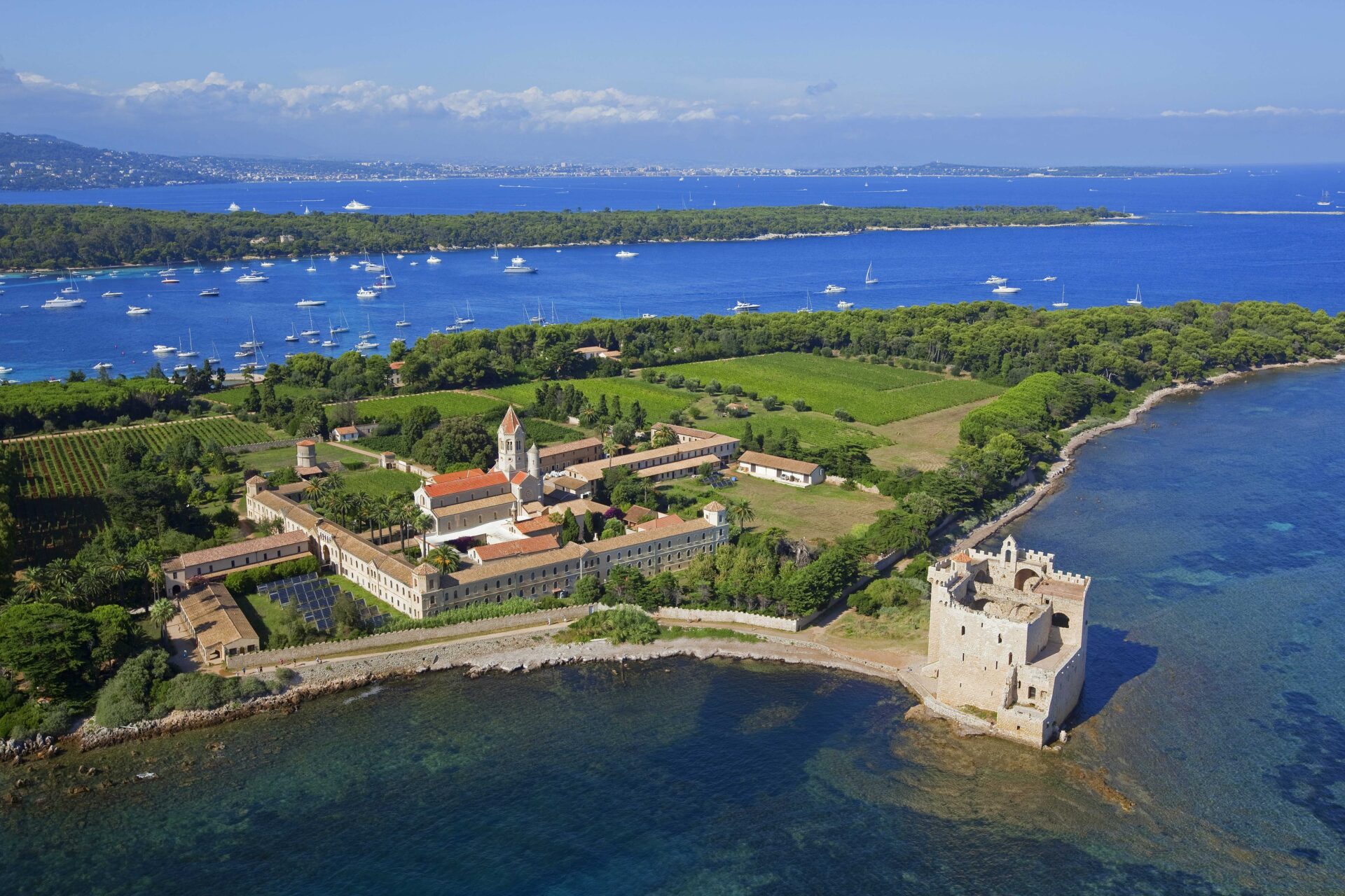 Learns Islands, Cannes