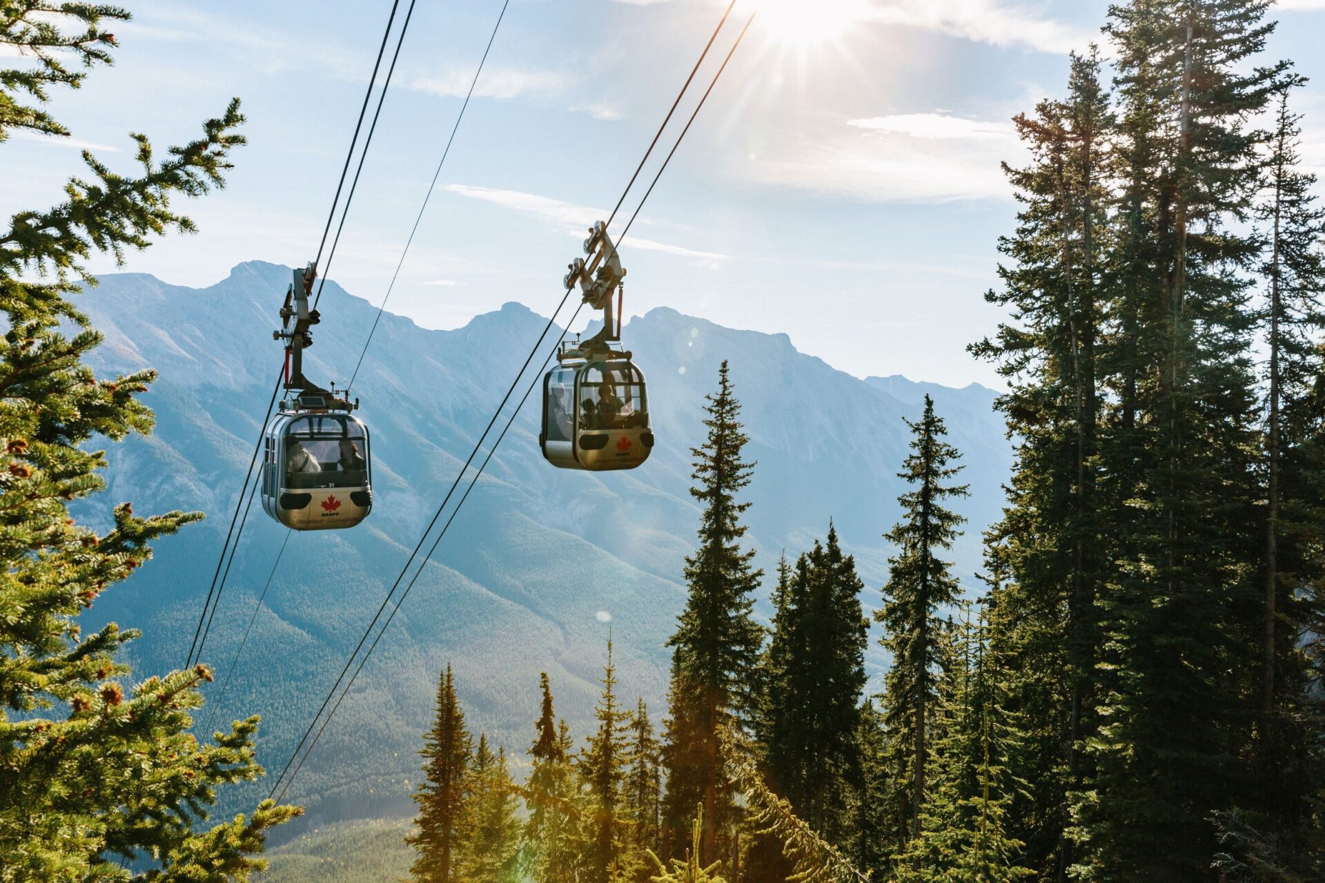 Banff Gondola through trees