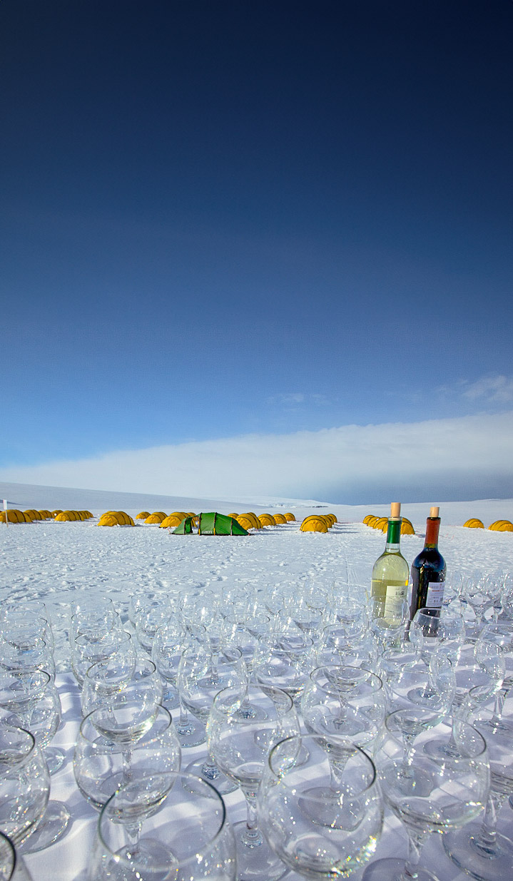 Wine bottles surrounded by wine glasses