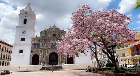Visual of Cathedral Basilica Santa María La Antigua