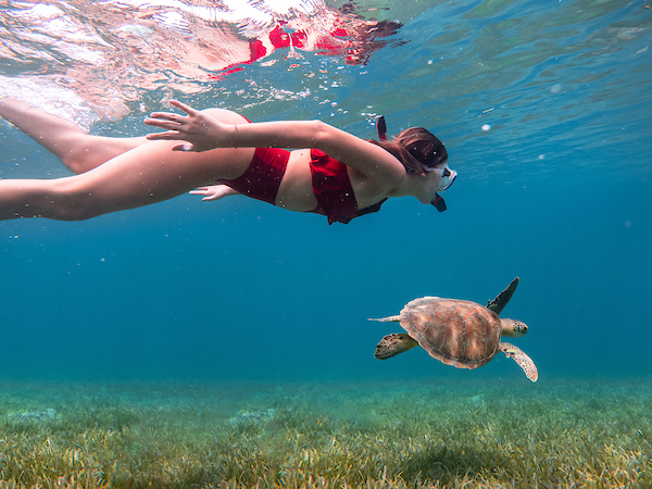 Woman snorkeling with sea turtles