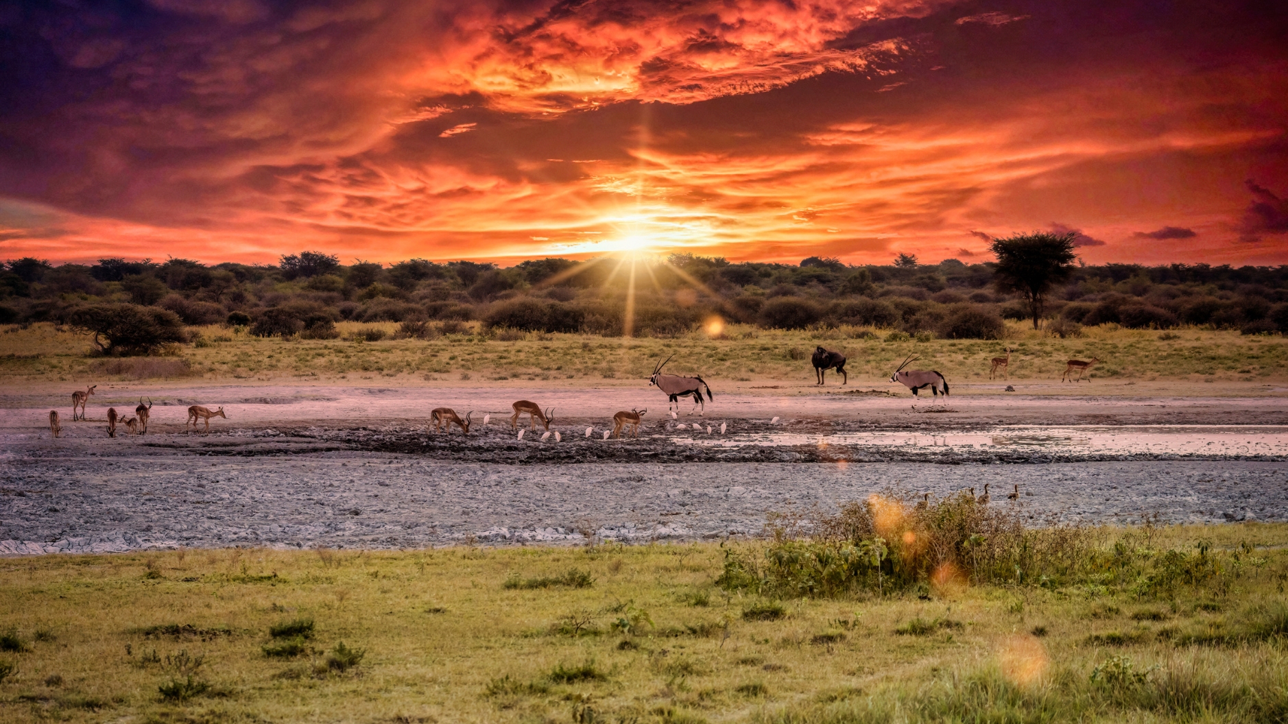 sunset in botswana