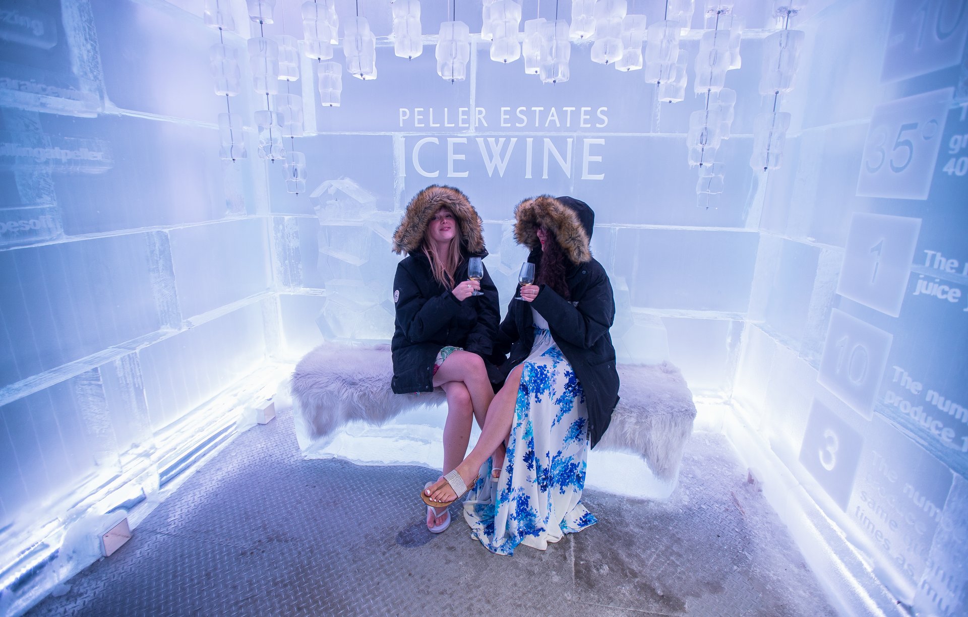 Ice wine tasting