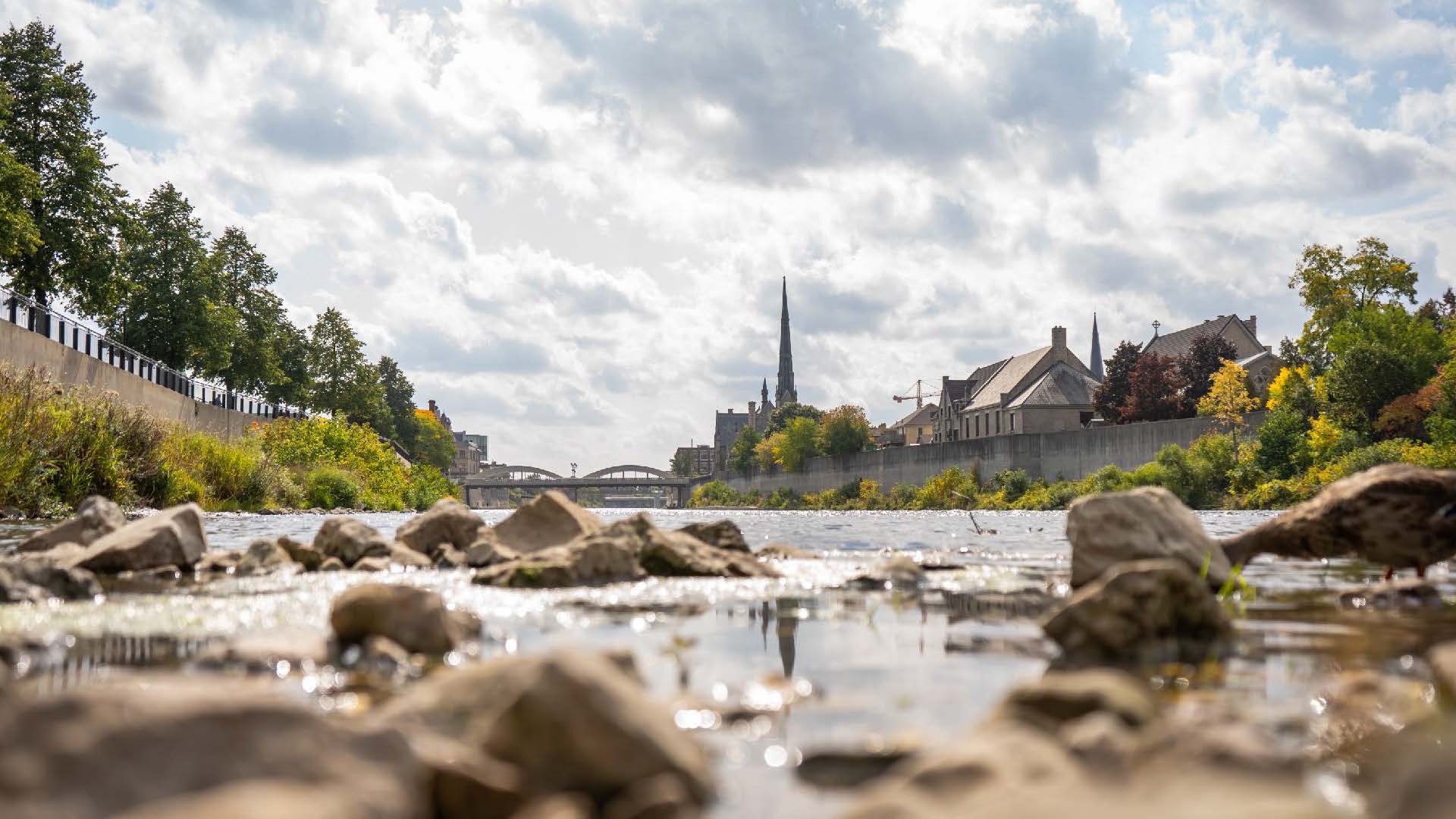 River view in Waterloo