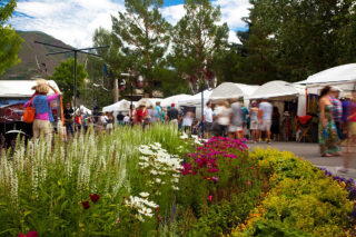 Aspen market