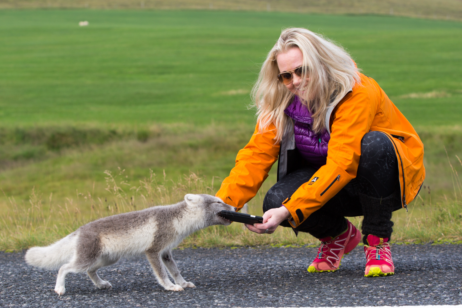 Woman feeding a small animal