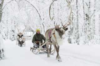 Client riding a sled pulled by a reindeer