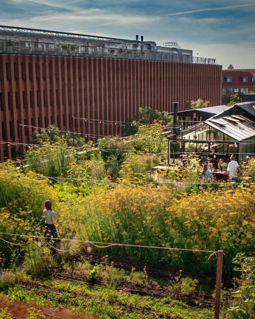 Urban rooftop farm in Copenhagen