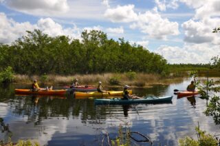 Paddling in the Ten Thousand Islands National Wild activities