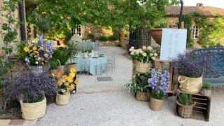 Provençal Night Vineyard Provence