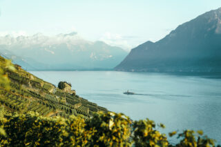 Lavaux