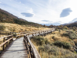 Lapataia Bay National Park