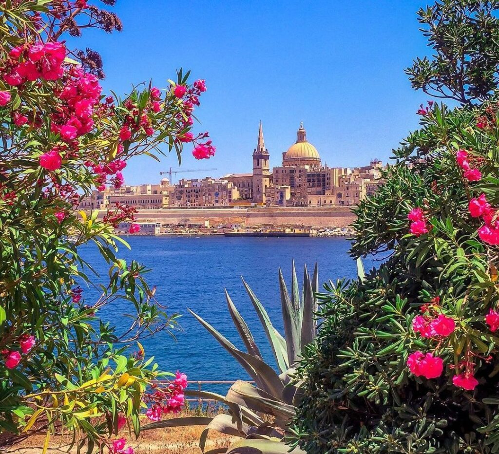 Valletta View