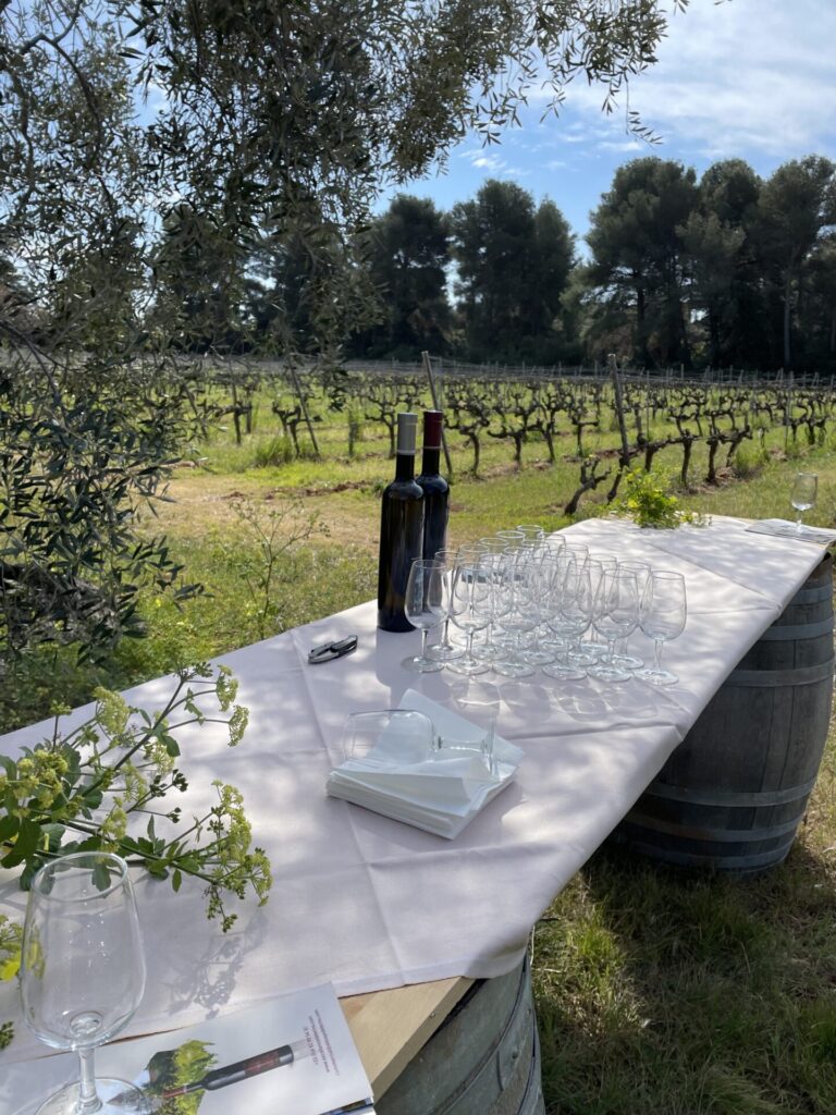 Wine Tasting Learns Island Cannes Bay