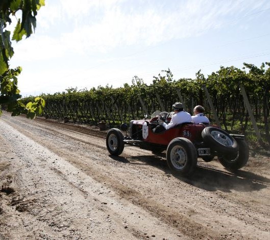 Car rally through the vineyards.