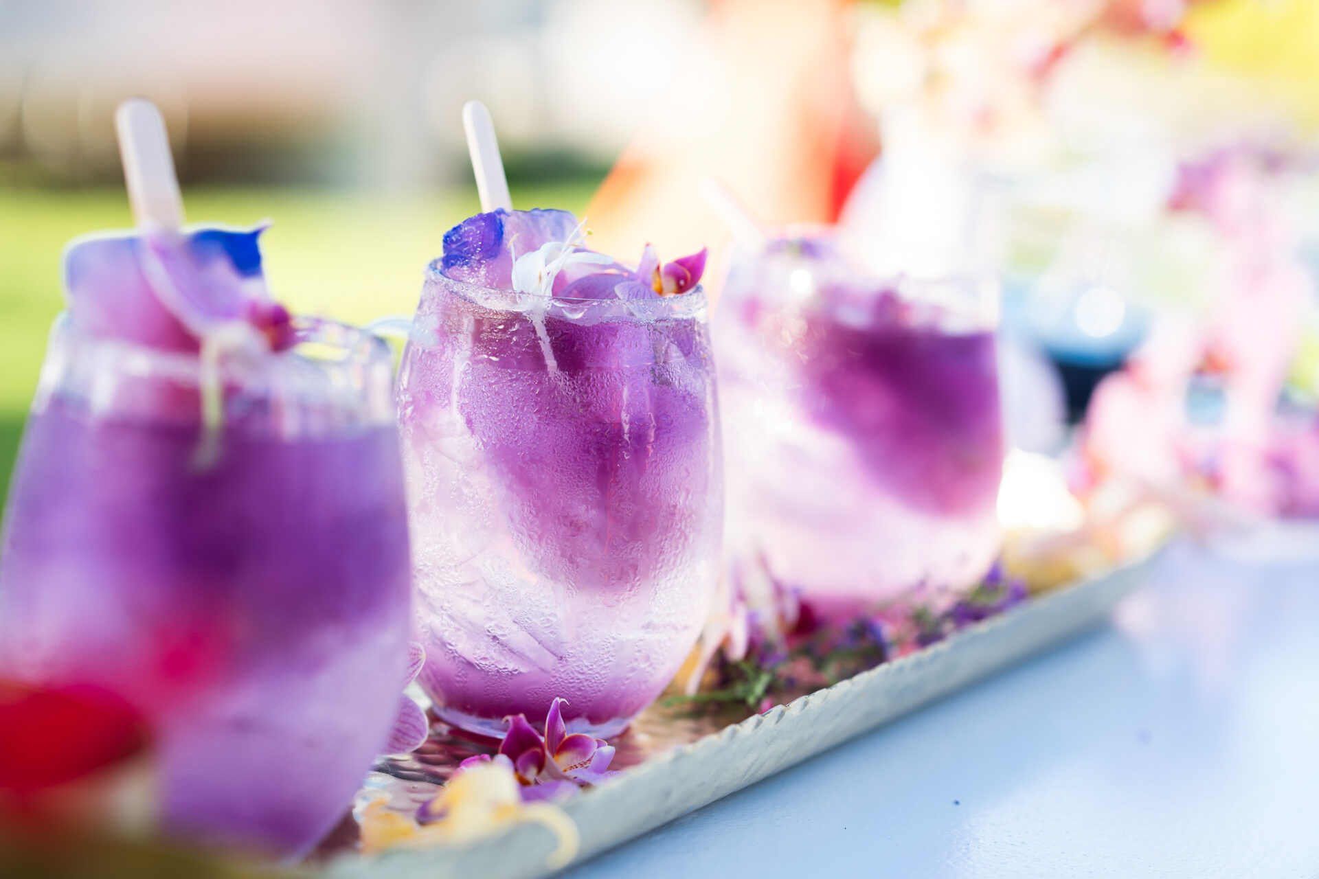 Popsicles in Paradise