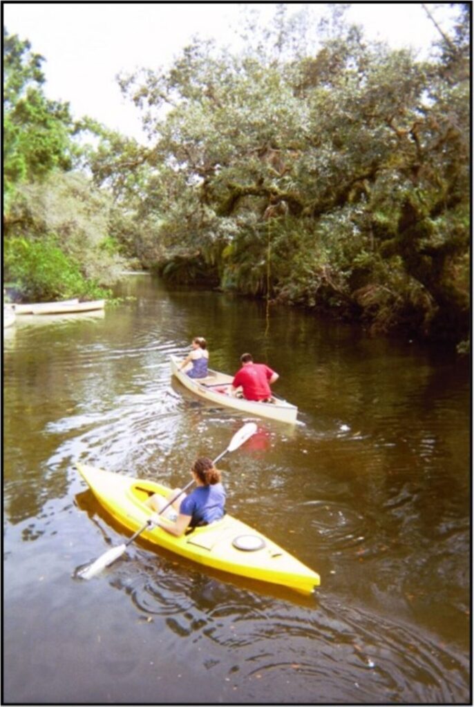 Canoeing on the Estero River