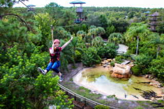 Zipline and Gators activity