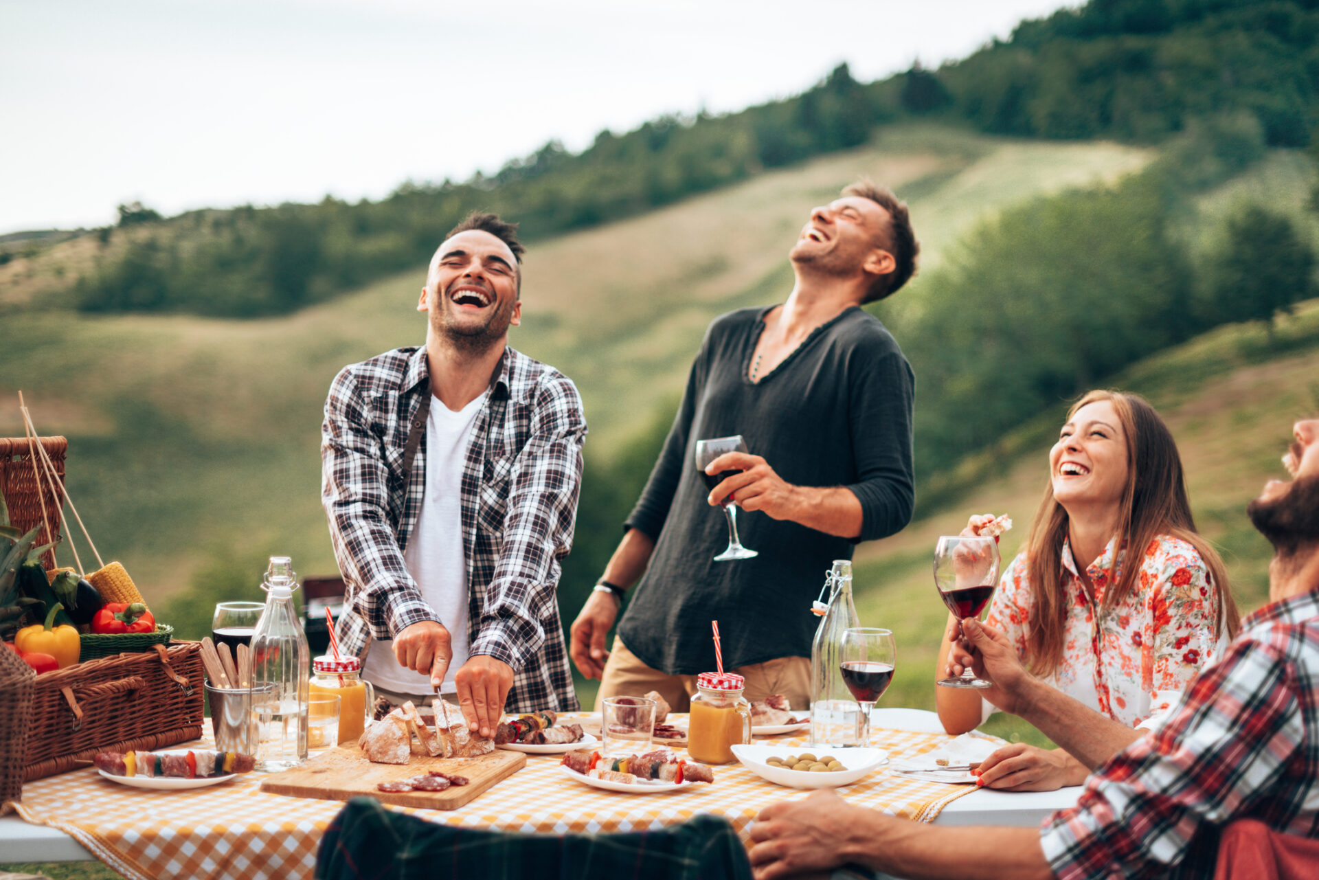 friends toasting at the picnic