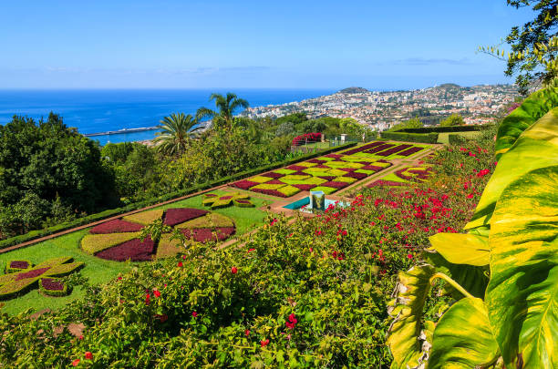 Monte tropical gardens in Funchal town, Madeira island, Portugal