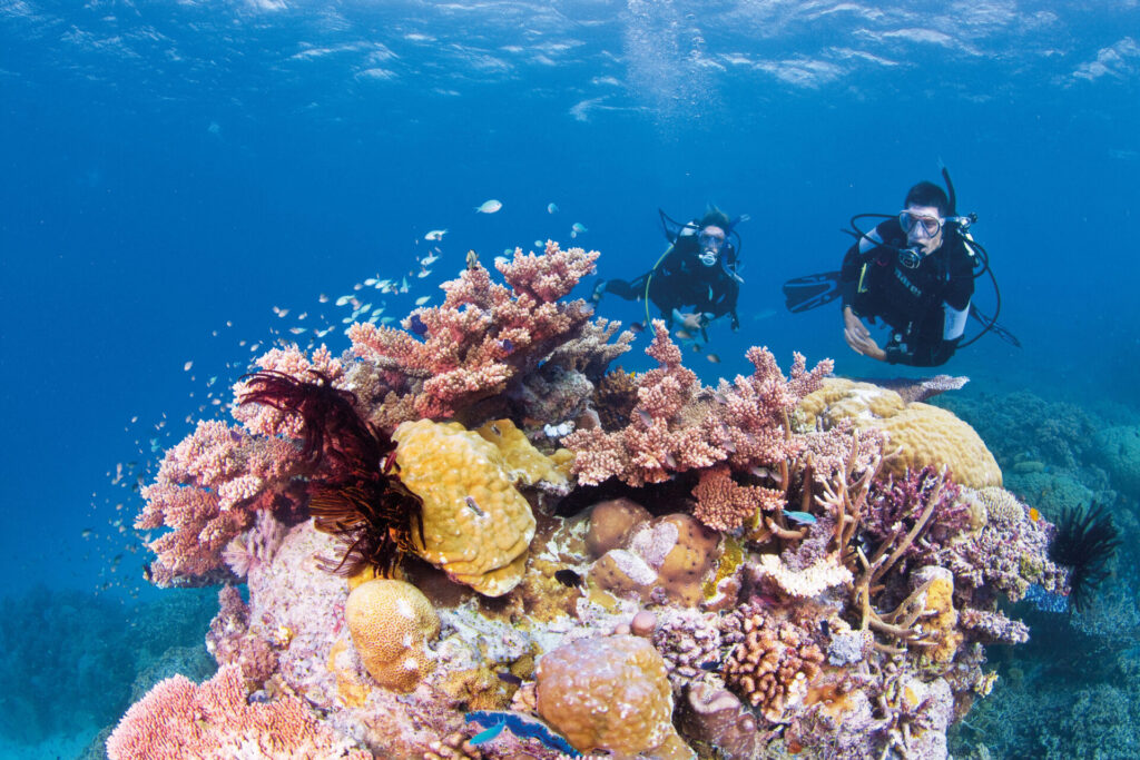 Snorkelling on the Great Barrier Reef