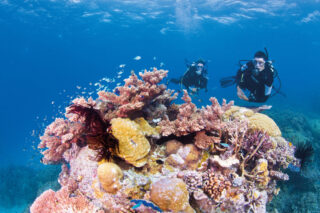Snorkelling on the Great Barrier Reef