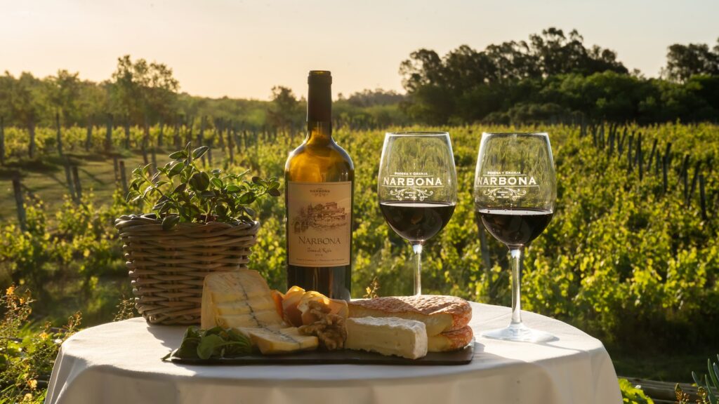 Table setting with wine and cheese