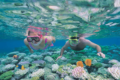 Snorkeling The Great Barrier Reef