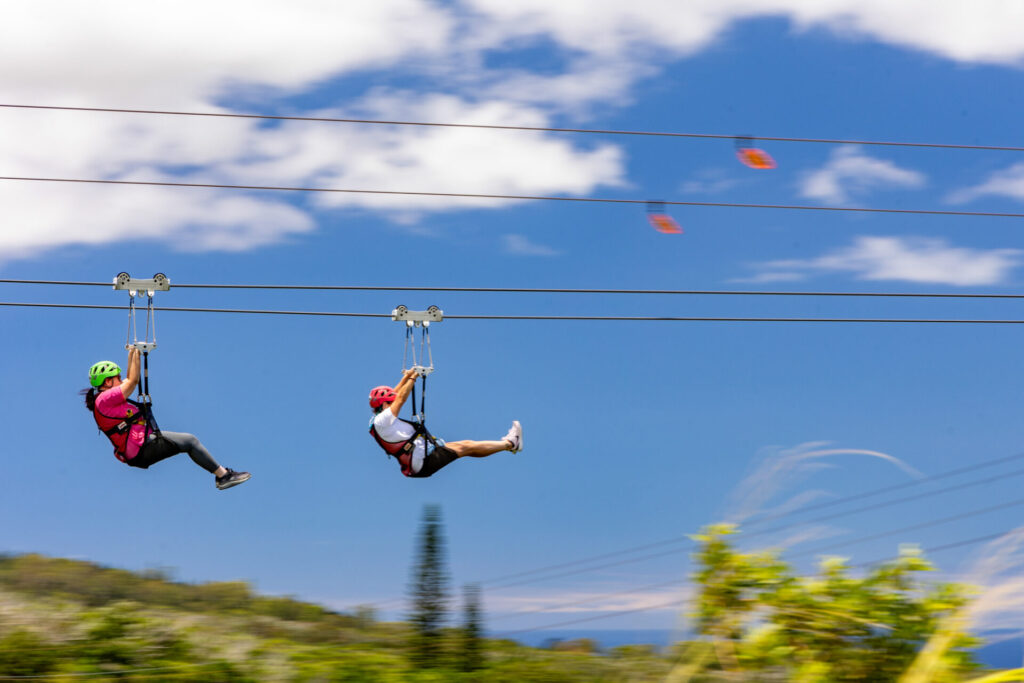 Zipline