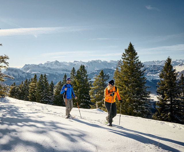 Snowshoe walking Rigi