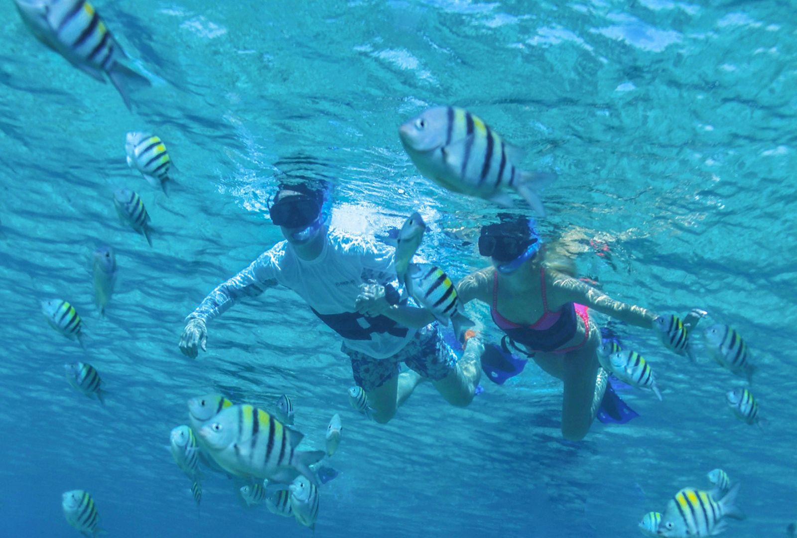 snorkling with fish