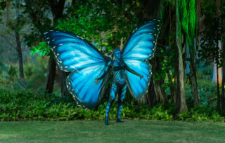 butterfly entertainer