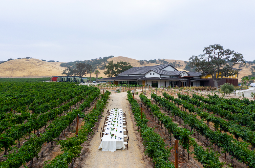 A long table with a white tablecloth and chairs set up in a vineyard with a building in the background